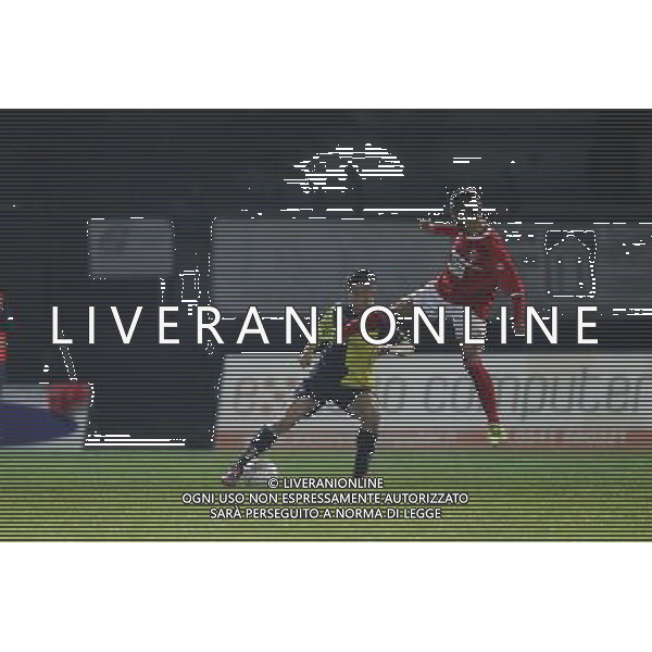 SANTARCANGELO vs ANCONA, Campionato di Calcio Lega Pro, Girone B, 27Âª giornata, 19/03/2016. nella foto: HAMILI ZACCARIA, FABIO GERLI, Â©Claudio Zamagni/ Agenzia Aldo Liverani s.a.s.