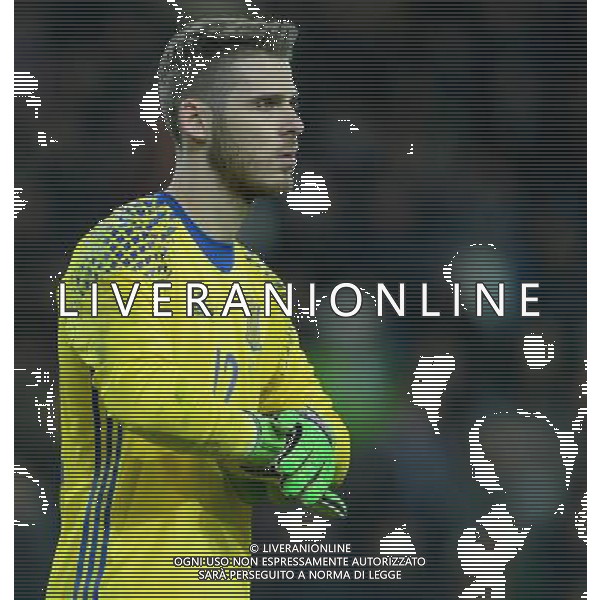 Amichevole Udine - 24.03.2016 Italia-Spagna Nella Foto:David de Gea Quintana /Ph.Vitez-Ag. Aldo Liverani