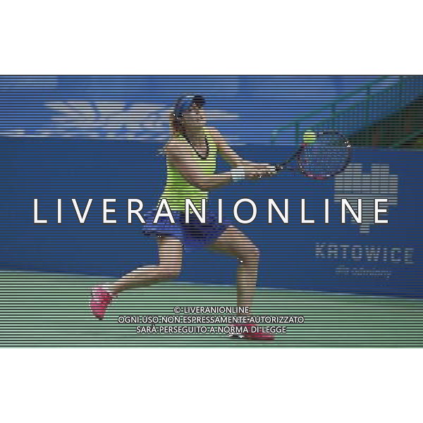 KATOWICE , HALA SPODEK 07.04.2016 SPORT TENIS KOBIETY TURNIEJ SINGLOWY WTA KATOWICE OPEN I RUNDA 1/8 FINALU FRANCESCA SCHIAVONE ( ITA ) - ALIZE CORNET ( FRA ) NZ ALIZE CORNET FOT MICHAL NOWAK / NEWSPIX.PL KATOWICE , HALA SPODEK 07.04.2016 TENNIS WOMAN SINGLES WTA INTERNATIONAL KATOWICE OPEN 1ST ROUND 1/8 FRANCESCA SCHIAVONE ( ITA ) - ALIZE CORNET ( FRA ) ALIZE CORNET MICHAL NOWAK / NEWSPIX.PL --- Newspix.pl *** Local Caption *** www.newspix.pl mail us: info@newspix.pl call us: 0048 022 23 22 222 --- Polish Picture Agency by Ringier Axel Springer Poland / AGENZIA ALDO LIVERANI SAS - ITALY ONLY EDITORIAL USE ONLY 