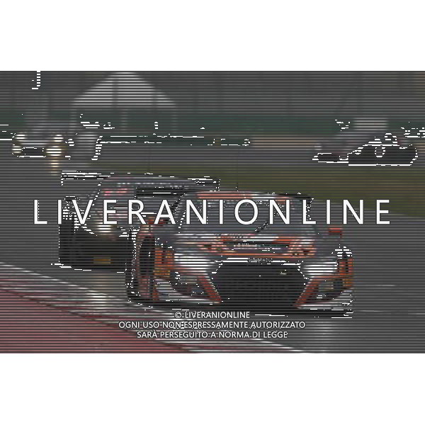 Free Practice 1, Prove libere 1, nella foto: NIKI MAYR-MELNHOF, AUDI RS 8, Claudio Zamagni/Agenzia Aldo Liverani s.a.s.