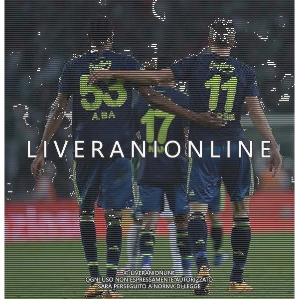 Ziraat Turkey Cup match between Konyaspor and Fenerbahce at Torku Arena in Konya , Turkey , April 20, 2016. Final Score: Konyaspor 0 - Fenerbahce 3 Pictured:: Fenerbahce players celebrates for Robin van Persie \' s goal. TURCJA PUCHAR TURCJI PILKA NOZNA SEZON 2015/2016 FOT.SESKIM PHOTO/NEWSPIX.PL POLAND, TURKEY, GERMANY, AUSTRIA AND UK OUT !!! --- Newspix.pl AG ALDO LIVERANI SAS