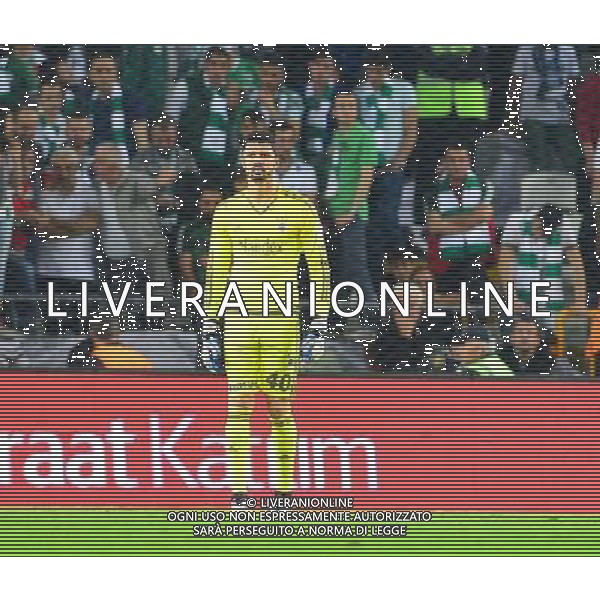 Ziraat Turkey Cup match between Konyaspor and Fenerbahce at Torku Arena in Konya , Turkey , April 20, 2016. Final Score: Konyaspor 0 - Fenerbahce 3 Pictured:: Goaljeeper Fabiano Ribeiro of Fenerbahce. TURCJA PUCHAR TURCJI PILKA NOZNA SEZON 2015/2016 FOT.SESKIM PHOTO/NEWSPIX.PL POLAND, TURKEY, GERMANY, AUSTRIA AND UK OUT !!! --- Newspix.pl AG ALDO LIVERANI SAS