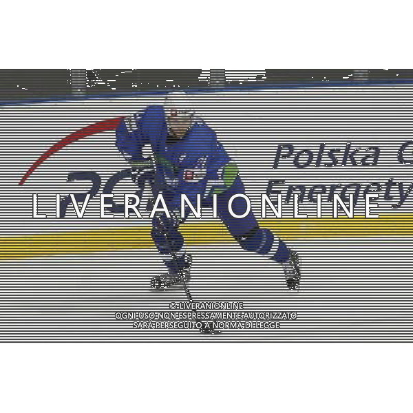 KATOWICE 2016.04.27 SPORT HOKEJ NA LODZIE MISTRZOSTWA SWIATA DYWIZJI 1A SLOWENIA - KOREA NZ. ROK TICAR SLO FOT. MICHAL CHWIEDUK / FOKUSMEDIA/NEWSPIX.PL KATOWICE 2016.04.27 SPORT ICE HOCKEY WORLD CHAMPIONSHIP DIVISION 1 GROUP A SLOVENIA - KOREA FOT. MICHAL CHWIEDUK / FOKUSMEDIA --- Newspix.pl AG ALDO LIVERANI SAS *** Local Caption *** www.newspix.pl mail us: info@newspix.pl call us: 0048 022 23 22 222 --- Polish Picture Agency by Ringier Axel Springer Poland