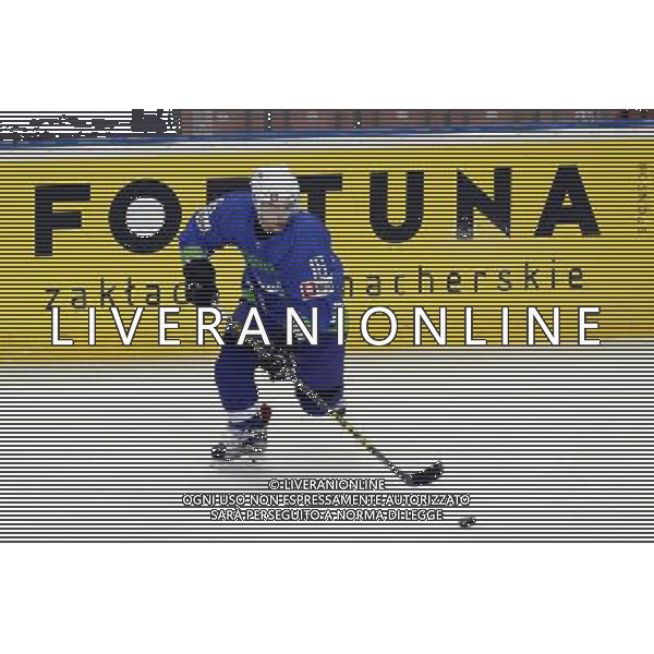 KATOWICE 2016.04.27 SPORT HOKEJ NA LODZIE MISTRZOSTWA SWIATA DYWIZJI 1A SLOWENIA - KOREA NZ. ALES MUSIC SLO FOT. MICHAL CHWIEDUK / FOKUSMEDIA/NEWSPIX.PL KATOWICE 2016.04.27 SPORT ICE HOCKEY WORLD CHAMPIONSHIP DIVISION 1 GROUP A SLOVENIA - KOREA FOT. MICHAL CHWIEDUK / FOKUSMEDIA --- Newspix.pl AG ALDO LIVERANI SAS *** Local Caption *** www.newspix.pl mail us: info@newspix.pl call us: 0048 022 23 22 222 --- Polish Picture Agency by Ringier Axel Springer Poland