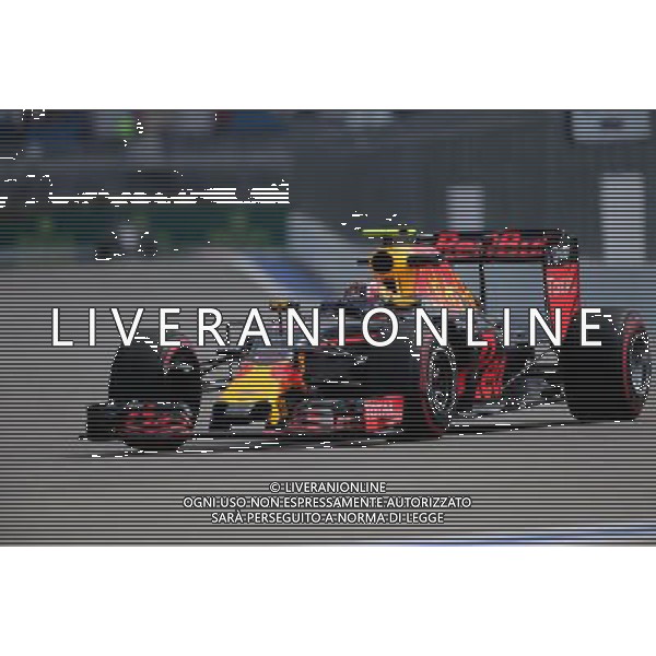 Daniil Kvyat (RUS), Red Bull Racing 29.10.2016. Formula 1 World Championship, Rd 4, Russian Grand Prix, Sochi Autodrom, Sochi, Russia, Practice Day. - www.xpbimages.com, EMail: requests@xpbimages.com - copy of publication required for printed pictures. Every used picture is fee-liable. Â© Copyright: Charniaux / XPB Images/Agenzia Aldo Liverani s.a.s./ONLY ITALY/EDITORIAL USE ONLY