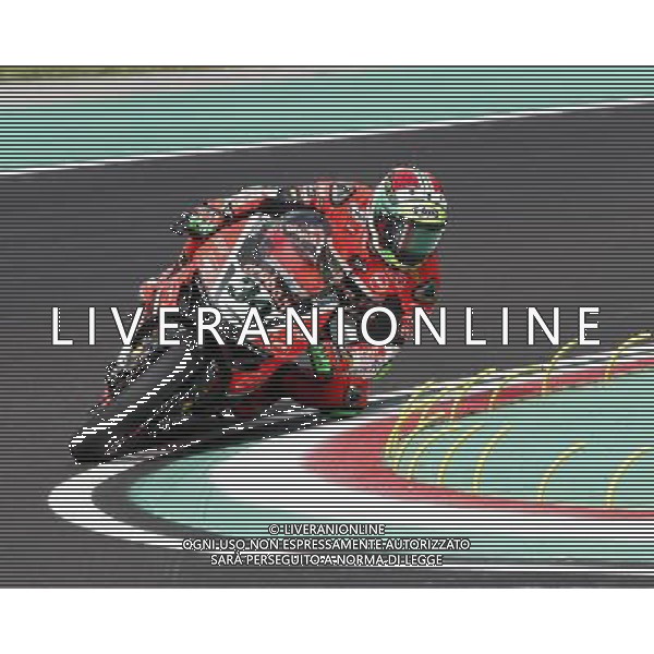 Campionato Mondiale Superbike, Round 5, Imola, 29/04/2016, Prove Libere, nella foto: DAVIDE GIUGLIANO, DUCATI, ARUBA, Â©Claudio Zamagni/Agenzia Aldo Liverani s.a.s.