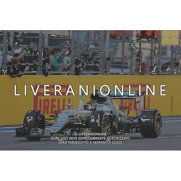Race winner Nico Rosberg (GER) Mercedes AMG F1 W07 Hybrid celebrates at the end of the race. 01.05.2016. Formula 1 World Championship, Rd 4, Russian Grand Prix, Sochi Autodrom, Sochi, Russia, Race Day. AG ALDO LIVERANI SAS ONLY ITALY