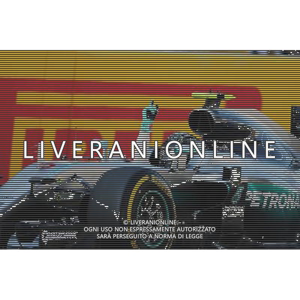 Race winner Nico Rosberg (GER) Mercedes AMG F1 W07 Hybrid celebrates at the end of the race. 01.05.2016. Formula 1 World Championship, Rd 4, Russian Grand Prix, Sochi Autodrom, Sochi, Russia, Race Day. AG ALDO LIVERANI SAS ONLY ITALY