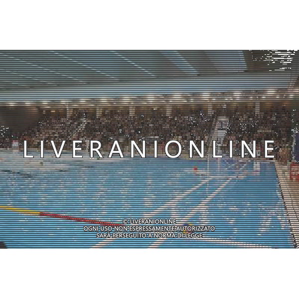 tifosi del An Brescia,An Brescia-Sintez Kazan finale Euro Cup ,Brescia 30 aprile 2016. AG ALDO LIVERANI SAS