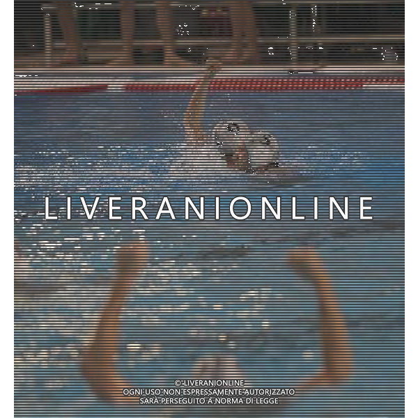 esultanza dei giocatori dell An Brescia,An Brescia-Sintez Kazan finale Euro Cup ,Brescia 30 aprile 2016. AG ALDO LIVERANI SAS