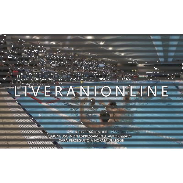 esultanza dei giocatori dell An Brescia,An Brescia-Sintez Kazan finale Euro Cup ,Brescia 30 aprile 2016. AG ALDO LIVERANI SAS