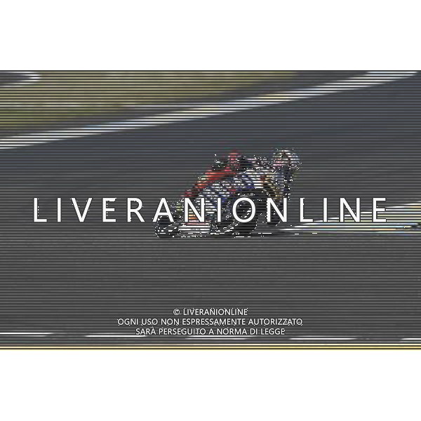 06.05.2016. Le Mans, Francia.Niccol˜ Antonelli (Ongetta rivacold) durante le libere. FOTO G. PIAZZOLLA-AG ALDO LIVERANI SAS