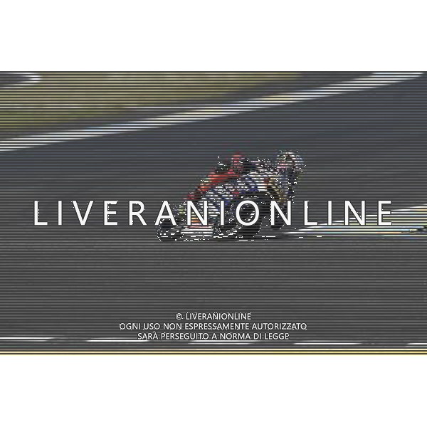 06.05.2016. Le Mans, Francia.Niccol˜ Antonelli (Ongetta rivacold) durante le libere. FOTO G. PIAZZOLLA-AG ALDO LIVERANI SAS