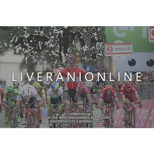 13-05-2016 Giro D\'italia; Tappa 07 Sulmona - Foligno; 2016, Lotto Soudal; 2016, Trek Factory Racing; Greipel, Andre; Nizzolo, Giacomo; Foligno; FOTO STEFANO SIROTTI-AG ALDO LIVERANI SAS
