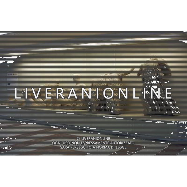 GRECIA 2001- ATENE NELLA FOTO METROPOLITANA DI ATENE AG ALDO LIVERANI SAS