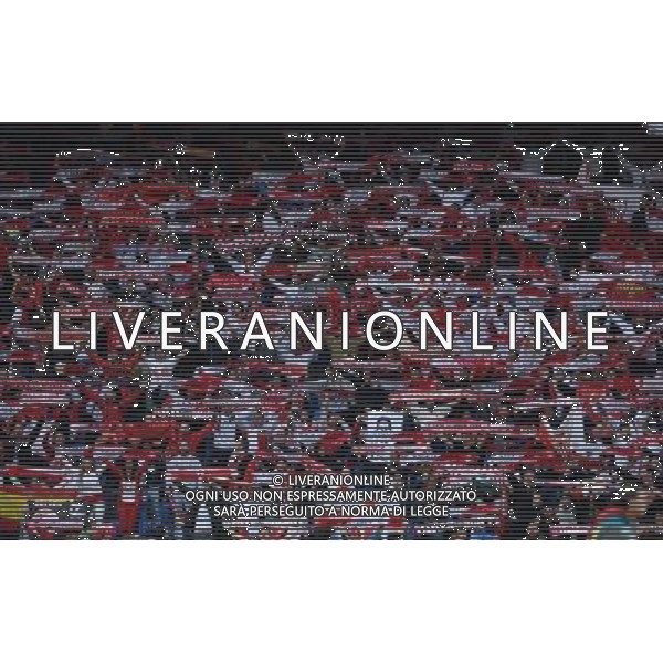 UEFA Europa League 2015/2016 Finale Basilea - 18.05.2016 Liverpool-Siviglia Nella Foto:tifosi siviglia /Ph.Vitez-Ag. Aldo Liverani