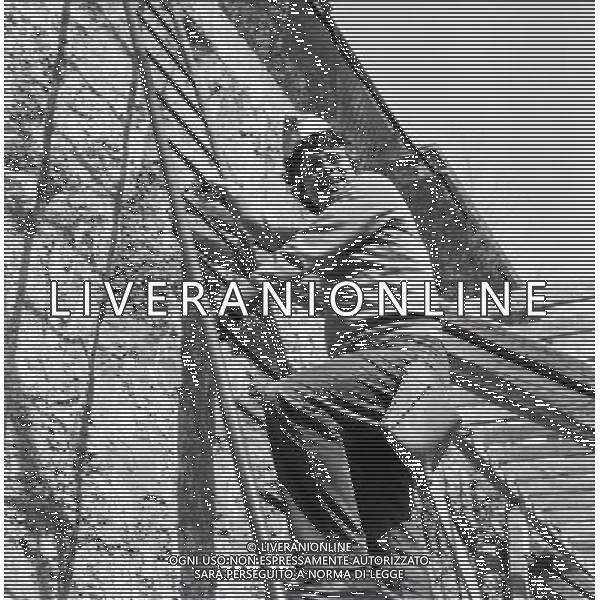 Lino Toffolo attore, cantautore e cabarettista italiano - Retrospettiva nella foto a Milano nel 1970 © Archivio / AGENZIA ALDO LIVERANI SAS 