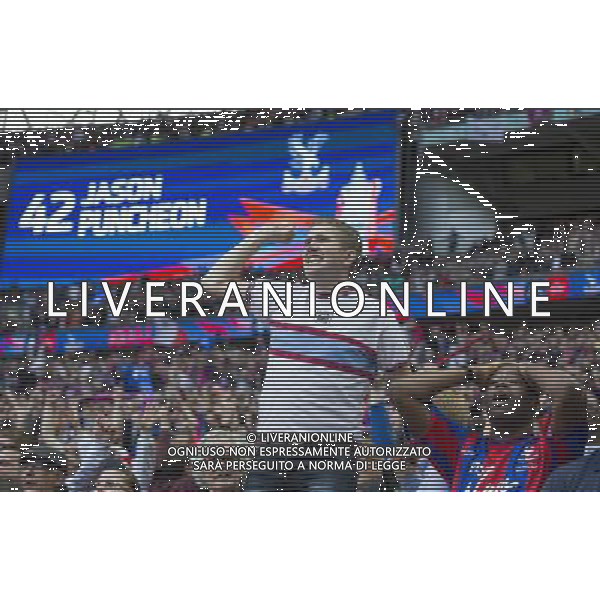 Crystal Palace fans celebrates their side\'s opening goal Photographer Craig Mercer/CameraSport Football - The Emirates FA Cup Final - Crystal Palace Manchester United - Saturday 21st May 2016 - Wembley - London © CameraSport - 43 Linden Ave. Countesthorpe. Leicester. England. LE8 5PG - Tel: +44 (0) 116 277 4147 - admin@camerasport.com - www.camerasport.com AG ALDO LIVERANI SAS ONLY ITALY