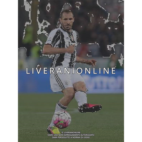 Coppa Italia TIM Cup 2015/2016 Finale Roma - 21.05.2016 Milan-Juventus Nella Foto:Giorgio Chiellini /Ph.Vitez-Ag. Aldo Liverani