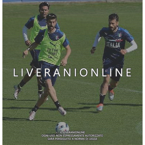 Raduno Nazionale Italiana Pre Europeo UEFA Francia 2016 Firenze - 24.05.2016 Allenamento Nella Foto:benassi /Ph.Vitez-Ag. Aldo Liverani