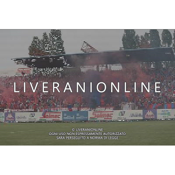 tifosi rovigo,Femi-CZ Rugby Rovigo Delta-Rugby Calvisano finale scudetto ,Rovigo 28 maggio 2016. AG ALDO LIVERANI SAS