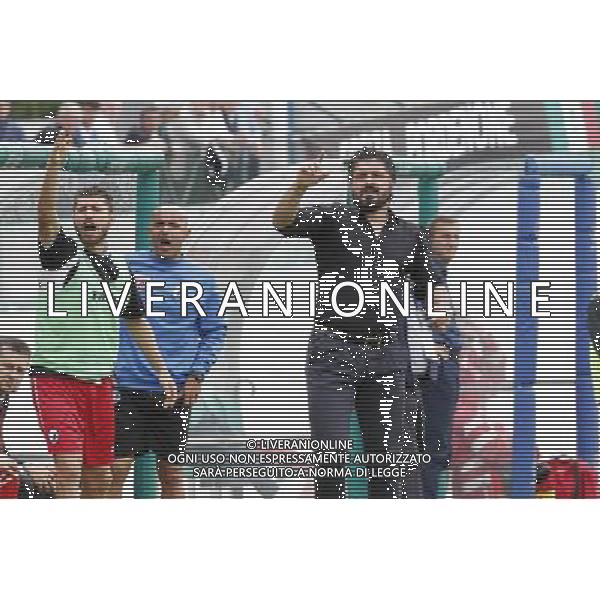 PORDENONE vs PISA, Semifinale Play Off Lega Pro, 29/05/2016, nella foto: GENNARO GATTUSO, Â©Claudio Zamagni/ Agenzia Aldo Liverani s.a.s.