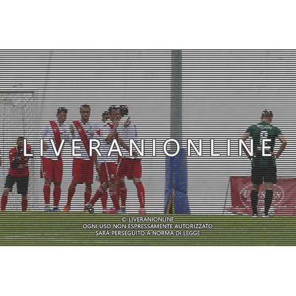 PORDENONE vs PISA, Semifinale Play Off Lega Pro, 29/05/2016, nella foto: LA BARRIERE DEL PISA, Â©Claudio Zamagni/ Agenzia Aldo Liverani s.a.s.