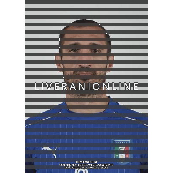 FLORENCE, ITALY - JUNE 01: Giorgio Chiellini of Italy pose for a photo ahead of the UEFA Euro 2016 at Coverciano on June 1, 2016 in Florence, Italy. (Photo by Claudio Villa/Getty Images)/Agenzia Aldo Liverani s.a.s.