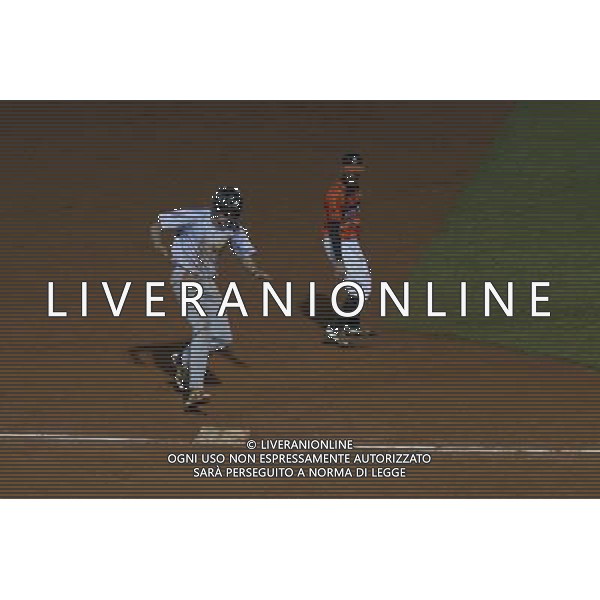 Baseball Champions Cup 2016, L\'D Amsterdam vs A.S.D. Rimini, nella foto: AUSSEMS JASSE, ©CLAUDIO ZAMAGNI/AGENZIA ALDO LIVERANI S.A.S.