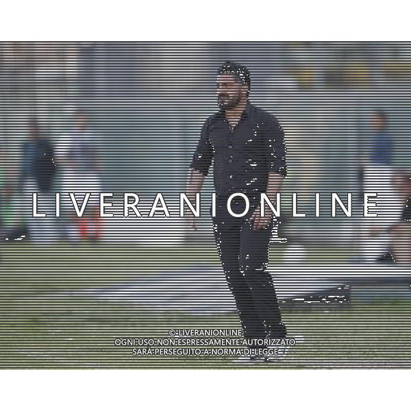 PISA vs FOGGIA, Finale Play Off Lega Pro, 05/06/2016, nella foto: GENNARO GATTUSO, Â©Claudio Zamagni/ Agenzia Aldo Liverani s.a.s./ AGENZIA ALDO LIVERANI SAS PISA vs FOGGIA, Finale andata Play Off Lega Pro, 05/06/2016. 