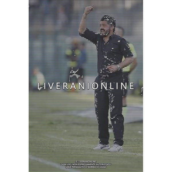 PISA vs FOGGIA, Finale Play Off Lega Pro, 05/06/2016, nella foto: GENNARO GATTUSO, ©Claudio Zamagni/ Agenzia Aldo Liverani s.a.s.