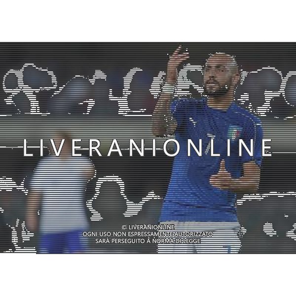 Amichevole in preparazione agli Europei Francia 2016 Verona - 06.06.2016 Italia-Finlandia Nella Foto:zaza simone /Ph.Vitez-Ag. Aldo Liverani