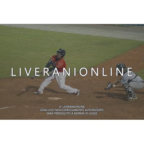 Baseball Champions Cup 2016, L\'D Amsterdam vs A.S.D. Rimini, nella foto: LUIS DE CAMARGO, Â©CLAUDIO ZAMAGNI/AGENZIA ALDO LIVERANI S.A.S. / AGENZIA ALDO LIVERANI SAS