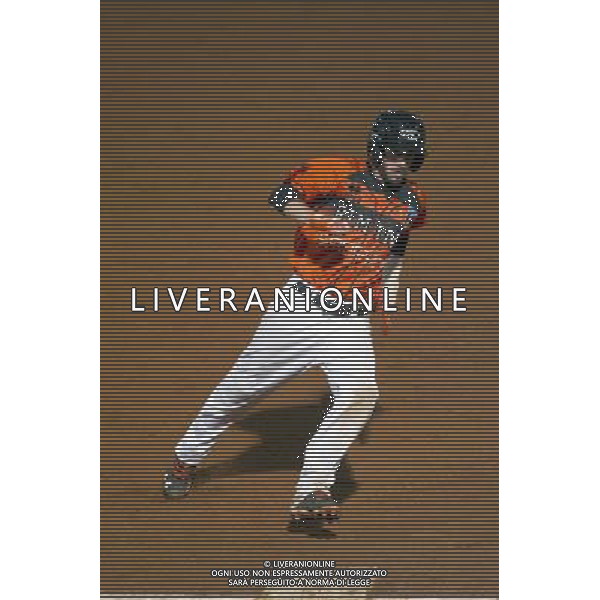 Baseball Champions Cup 2016, L\'D Amsterdam vs A.S.D. Rimini, nella foto: ENNIO RETROSI, Â©CLAUDIO ZAMAGNI/AGENZIA ALDO LIVERANI S.A.S. / AGENZIA ALDO LIVERANI SAS