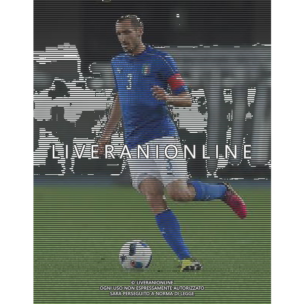 Amichevole in preparazione agli Europei Francia 2016 Verona - 06.06.2016 Italia-Finlandia Nella Foto:Chiellini Giorgio /Ph.Vitez-Ag. Aldo Liverani