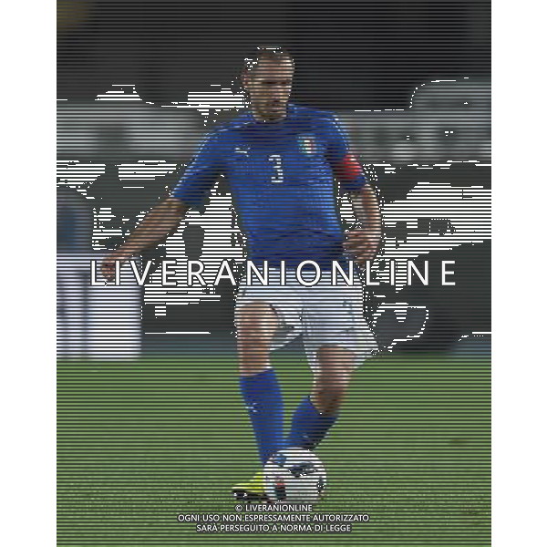 Amichevole in preparazione agli Europei Francia 2016 Verona - 06.06.2016 Italia-Finlandia Nella Foto:Chiellini Giorgio /Ph.Vitez-Ag. Aldo Liverani
