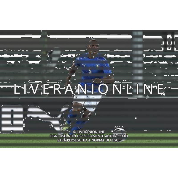 Amichevole in preparazione agli Europei Francia 2016 Verona - 06.06.2016 Italia-Finlandia Nella Foto:Ogbonna Angelo /Ph.Vitez-Ag. Aldo Liverani