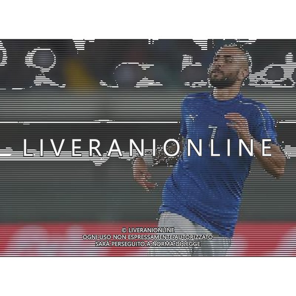 Amichevole in preparazione agli Europei Francia 2016 Verona - 06.06.2016 Italia-Finlandia Nella Foto:Zaza Simone /Ph.Vitez-Ag. Aldo Liverani