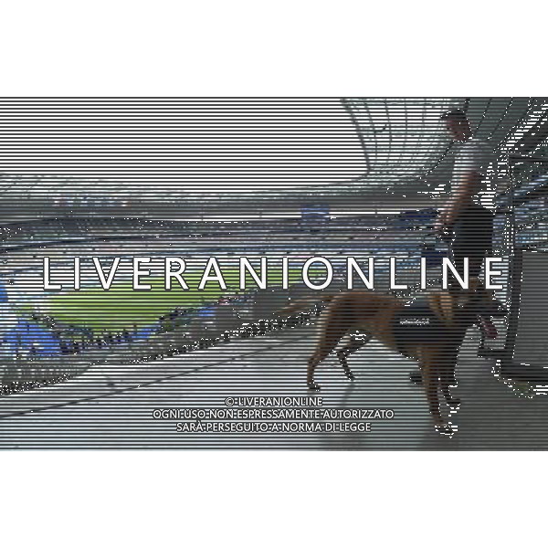 UEFA Francia EURO 2016 Final Tournament Group Stage A Parigi - 10.06.2016 Francia-Romania Nella Foto: veduta interna dello stadio Stade de France Saint Denis prima della partita inaugurale - Controlli sicurezza da parte della Polizia e Steward con l\'ausilio dei cani /Ph.Vitez-Ag. Aldo Liverani