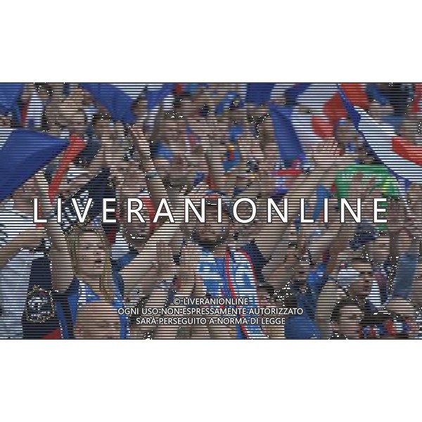 UEFA Francia EURO 2016 Final Tournament Group Stage A Parigi - 10.06.2016 Francia-Romania Nella Foto:tifosi francia /Ph.Vitez-Ag. Aldo Liverani