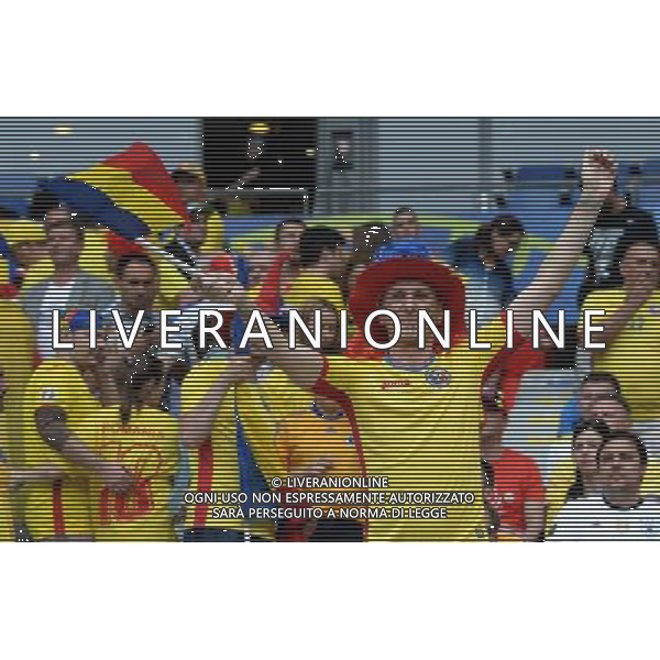 UEFA Francia EURO 2016 Final Tournament Group Stage A Parigi - 10.06.2016 Francia-Romania Nella Foto:tifosi romania /Ph.Vitez-Ag. Aldo Liverani
