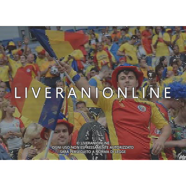 UEFA Francia EURO 2016 Final Tournament Group Stage A Parigi - 10.06.2016 Francia-Romania Nella Foto:tifosi romania /Ph.Vitez-Ag. Aldo Liverani