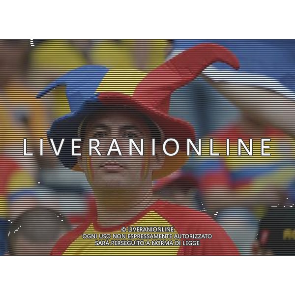 UEFA Francia EURO 2016 Final Tournament Group Stage A Parigi - 10.06.2016 Francia-Romania Nella Foto:tifosi romania /Ph.Vitez-Ag. Aldo Liverani