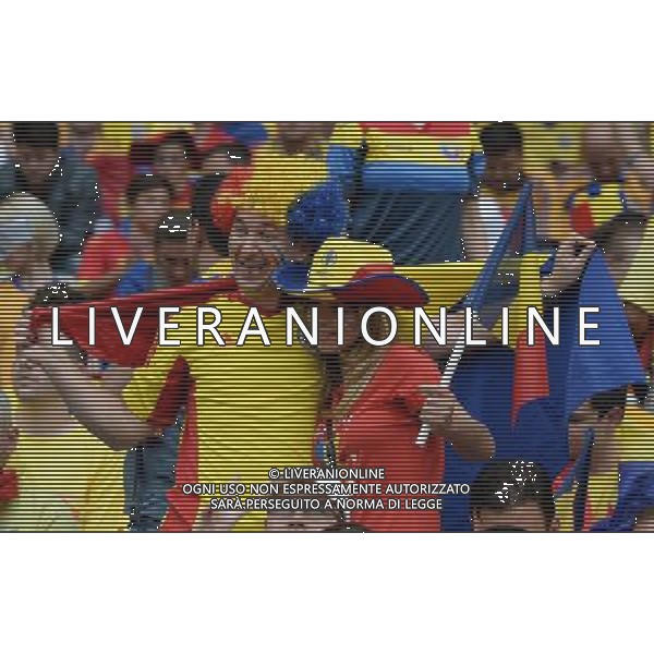 UEFA Francia EURO 2016 Final Tournament Group Stage A Parigi - 10.06.2016 Francia-Romania Nella Foto:tifosi romania /Ph.Vitez-Ag. Aldo Liverani