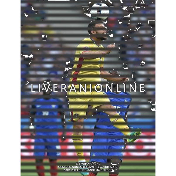 UEFA Francia EURO 2016 Final Tournament Group Stage A Parigi - 10.06.2016 Francia-Romania Nella Foto:rat /Ph.Vitez-Ag. Aldo Liverani