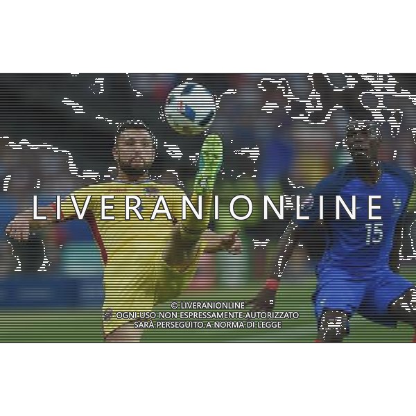 UEFA Francia EURO 2016 Final Tournament Group Stage A Parigi - 10.06.2016 Francia-Romania Nella Foto:rat /Ph.Vitez-Ag. Aldo Liverani