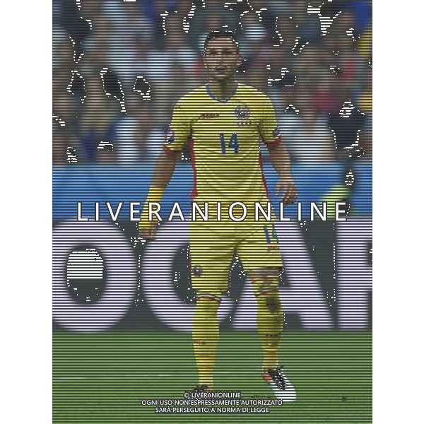 UEFA Francia EURO 2016 Final Tournament Group Stage A Parigi - 10.06.2016 Francia-Romania Nella Foto:Andone Florin /Ph.Vitez-Ag. Aldo Liverani