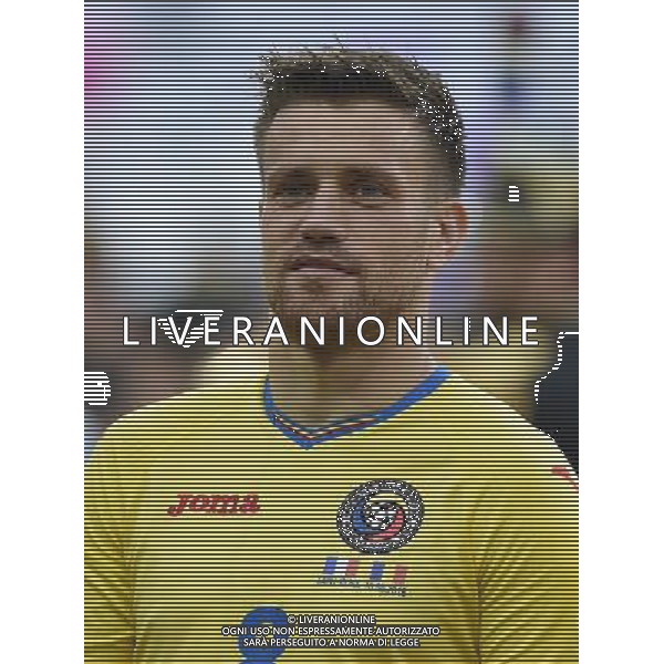 UEFA Francia EURO 2016 Final Tournament Group Stage A Parigi - 10.06.2016 Francia-Romania Nella Foto:Pintilii Mihai /Ph.Vitez-Ag. Aldo Liverani