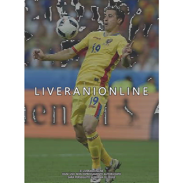UEFA Francia EURO 2016 Final Tournament Group Stage A Parigi - 10.06.2016 Francia-Romania Nella Foto:Stancu Bogdan /Ph.Vitez-Ag. Aldo Liverani