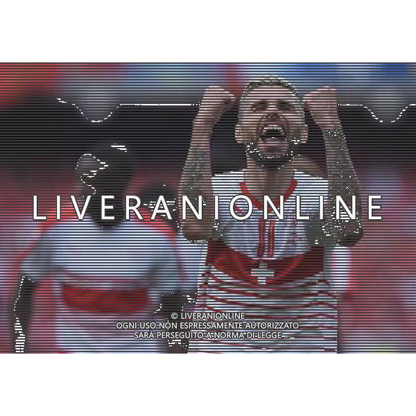 UEFA Francia EURO 2016 Final Tournament Group Stage A Lens - 11.06.2016 Albania-Svizzera Nella Foto:esultanza behrami /Ph.Vitez-Ag. Aldo Liverani